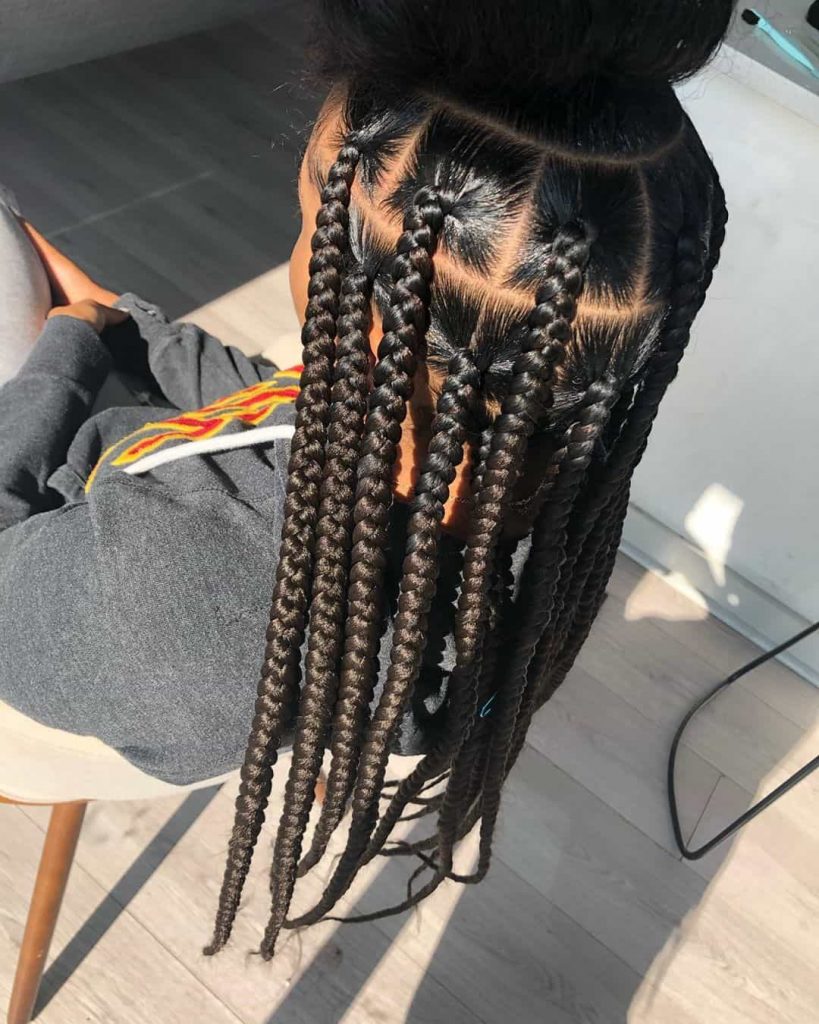 19 PHOTOS Splendid Box Braids For Ladies - Black Braided Hairstyles